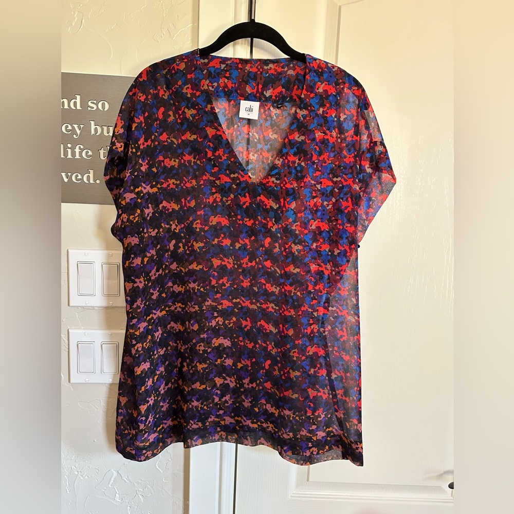 Cabi Colorful Sheer V-Neck  Bonus Blouse